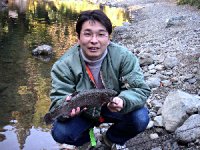 �����悤������񂯂�